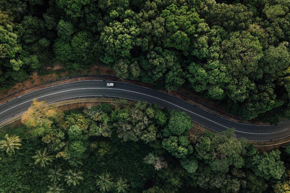 Letecký pohled na elektrické vozidlo Ford jedoucí po klikaté lesní silnici.